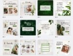 FEED - Produtos Vegano  Kit 1 - Imagem 2