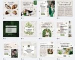 FEED - Produtos Vegano  Kit 1 - Imagem 3